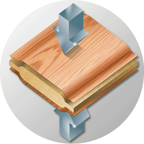 Hê thống máy ép | quốc duy