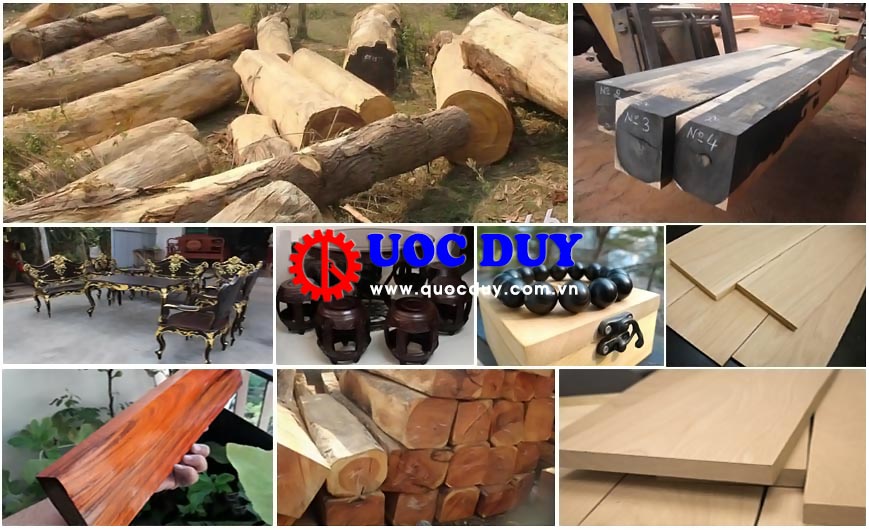 Các loại gỗ được ưa chuộng nhất hiện nay trong ngành nội thất