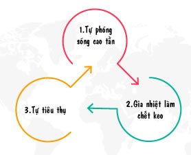 quy trình phóng sóng cao tần