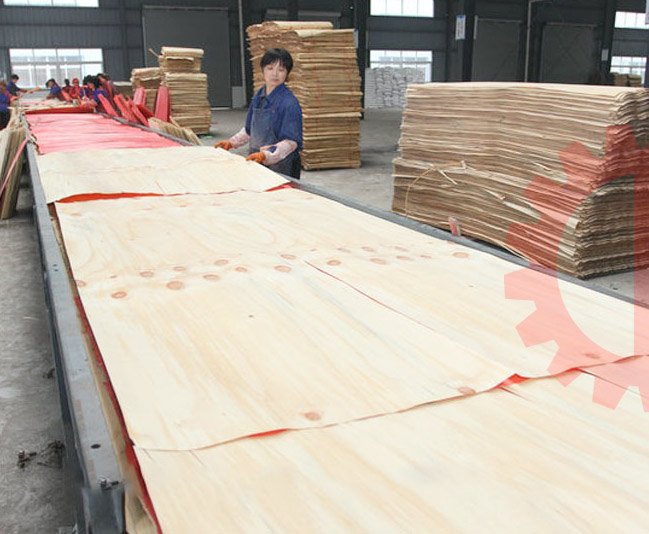 máy xếp ván lạng veneer | quốc duy