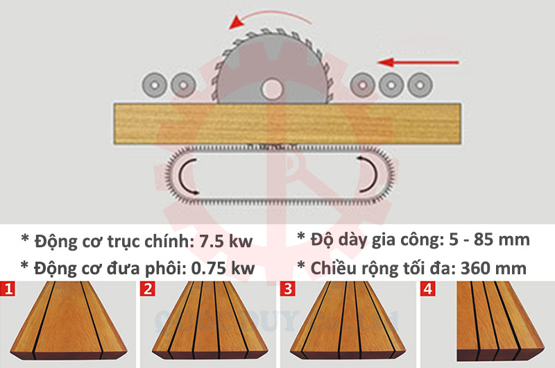 Chi tiết máy cưa ripsaw lưỡi trên | Quốc Duy