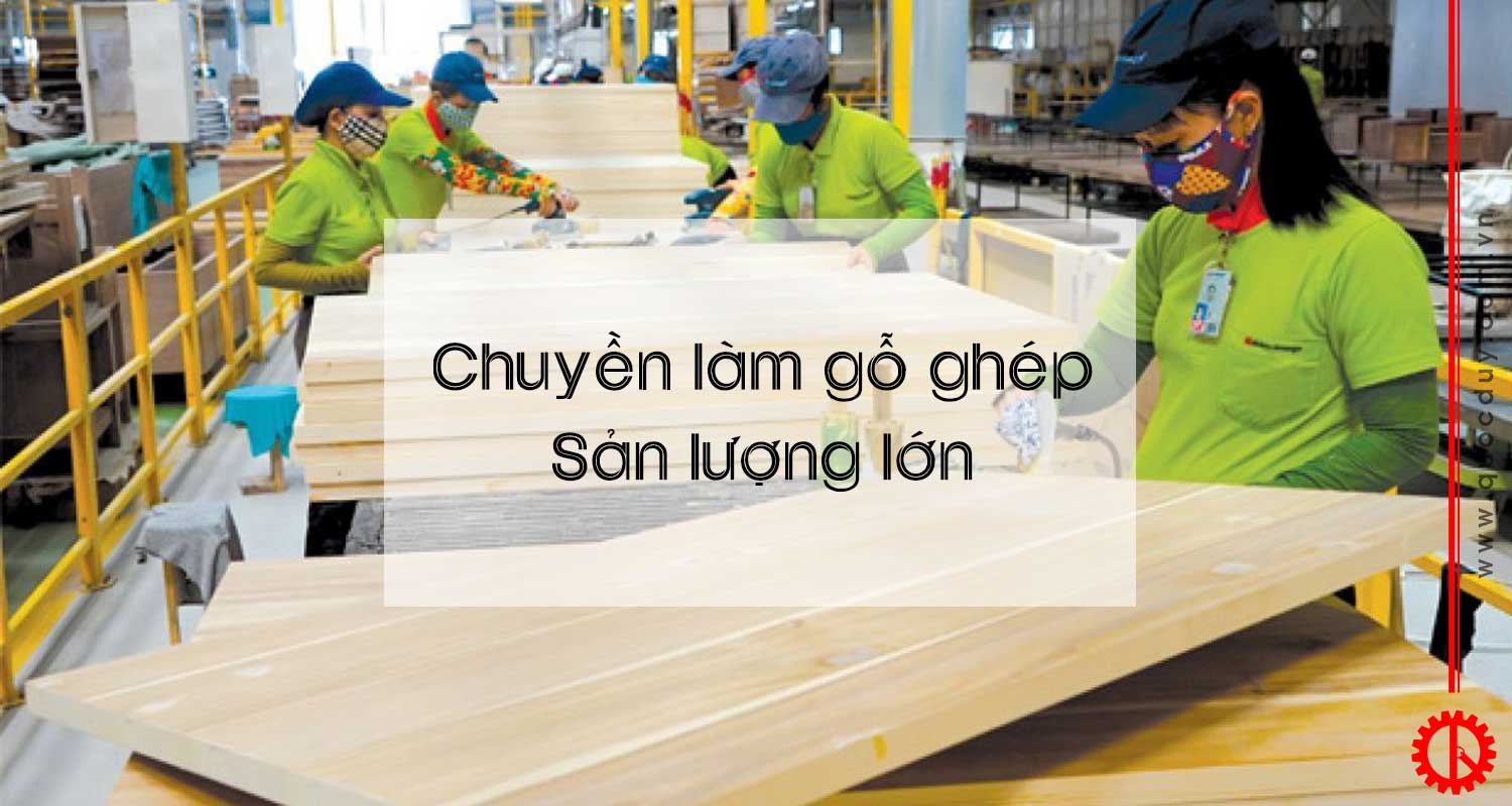 Chuyền sản xuất ván ghép sản lượng lớn | Quốc Duy