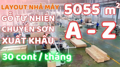 Lắp đặt nhà máy chế biến gỗ xuất khẩu
