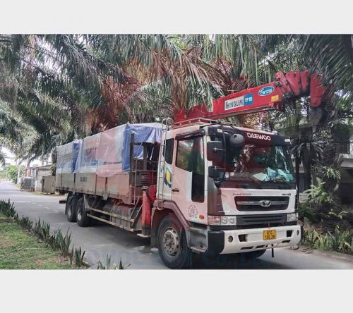 Máy chà nhám chổi 6 trục I Quốc Duy