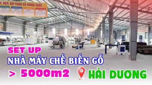Nhà máy chế biến gỗ hơn 5000m2 tại Hải Dương