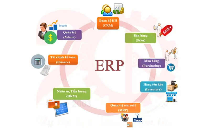quoc duy ung dung phan mem quan ly erp