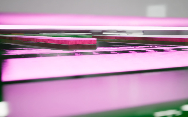 say tia cuc tim son uv