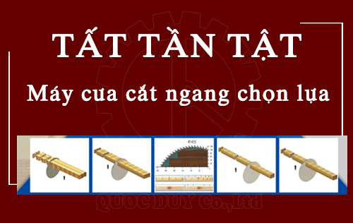 Tất tần tật về máy cưa cắt ngang chọn lựa