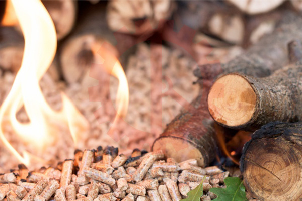 Viên nén gỗ là gì | Quốc Duy